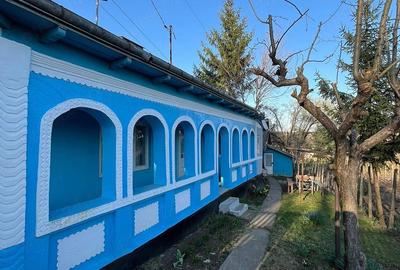 Casă cu Teren 2700 Mp în Iazu Nou - 10