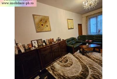 Casa de vanzare - Central(Bulevardul Castanilor) - 2