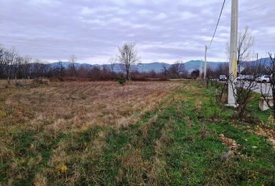 TEREN INTRAVILAN POLOVRAGI - 5