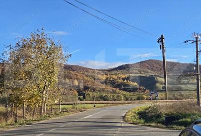 Complex turistic de 5 cabane,3100 mp teren,Transalpina Super pret!! - 6