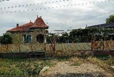 Casă cu 4 camere cu Teren 3983 Mp în Ungureni (Corbii Mari) - 6