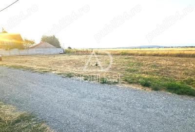 Teren de 800 mp, în 9 Mai - 6