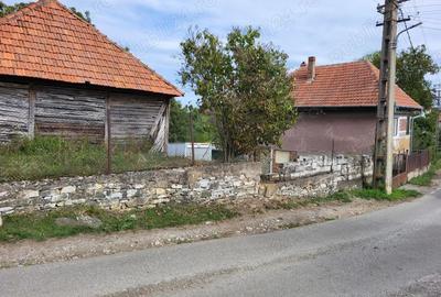 Casă cu 3 camere în Cerbăl - 5