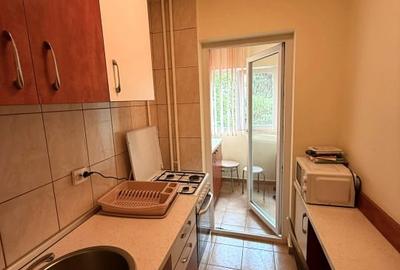 Apartament de inchiriat 1 camera strada Muncitorilor - 2