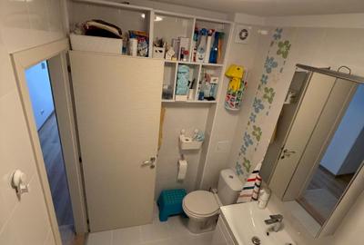 Apartament cu 4 camere decomandat, mobilat în Theodor Pallady - 22