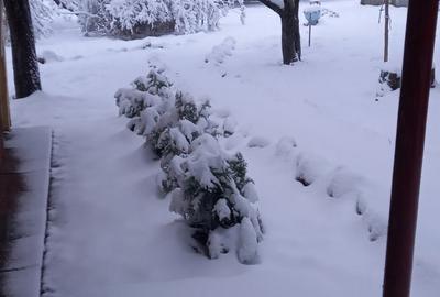 Vand casa+cabana Vand casa+cabana - 2