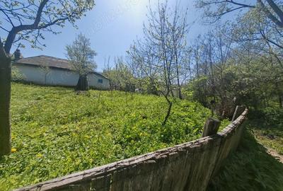 Casă cu Teren 720 Mp în Crihan - 2