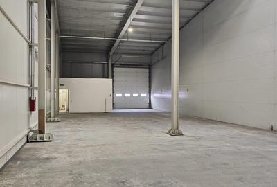 Spațiu industrial, în Stupini - 4