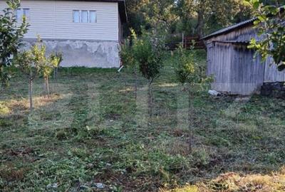 Casa la munte, teren 8324 mp, anexe, zona comuna Bucium - 2