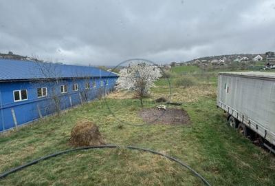 Casă cu 5 camere cu Teren 1500 Mp în Industrială - 16