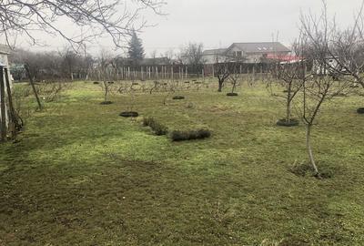 Casă cu 3 camere în Greci - 3