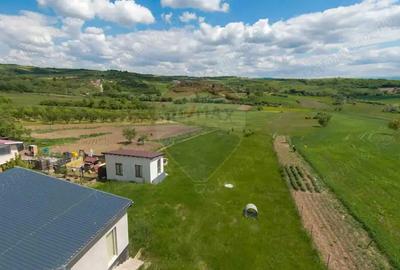 Casă cu 3 camere cu Teren 2042 Mp în Calea Mare - 5