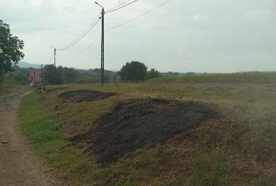 Teren Construcții intravilan de 3687 mp, în Dumbrava - 8