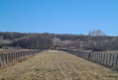 Casa / Vila si teren in Curtisoara, ideala pentru pensiune /casa de vacanta - 11
