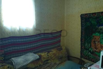 Casă cu 3 camere cu Teren 3000 Mp în Biharia - 4