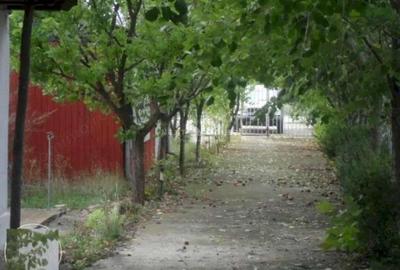 Casă cu Teren 2350 Mp în Izvorani - 7