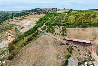 Spațiu comercial, în Șura Mare - 2