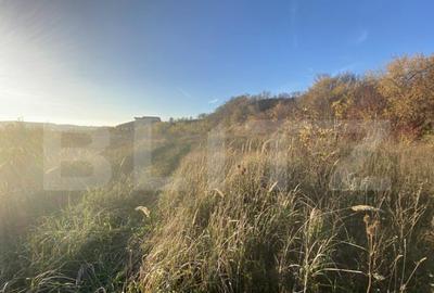 Teren intravilan in zona Sarmas in suprafata de 5332 mp - 5