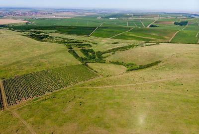 Teren arabil de 2009 hectare in Mures - 2