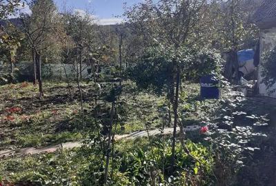 Casă cu 3 camere în Central - 1