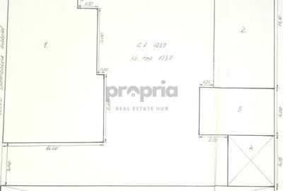 CASĂ COMPUSĂ DIN 2 CORPURI + CURTE + ANEXE - ORAȘ RUPEA | COMISION 0% - 16
