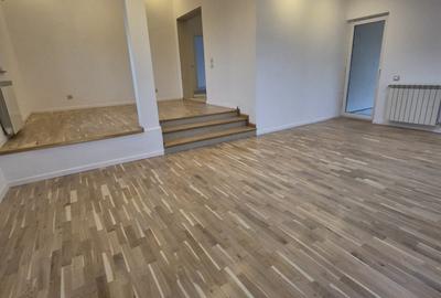 Prima inchiriere Vila cu 6 camere, garaj Pipera - Drumul Negru - 14