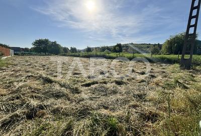 Teren de vanzare 1030mp intravilan Sura Mare zona deosebita - 2