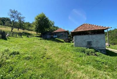 Casă cu 2 camere cu Teren 7927 Mp în Damiș - 3