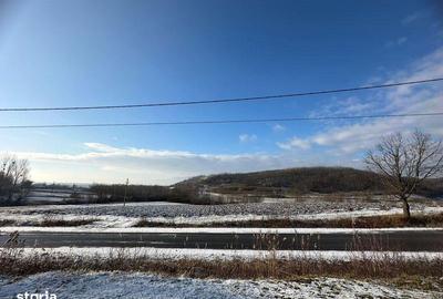Teren de 9050 mp, în Tileagd - 6