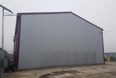 Bogdan Voda, hale industriale 500mp, teren 3000mp, stradal, acces TIR - 19