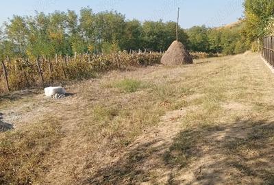 Vand casa la tara in Vladimir - 9