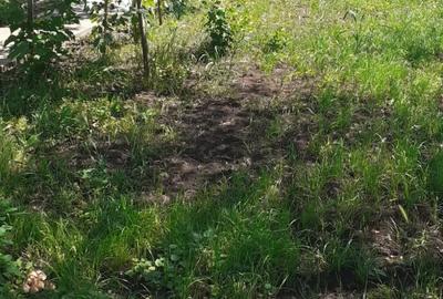 Casă cu 2 camere în Moșteni - 4