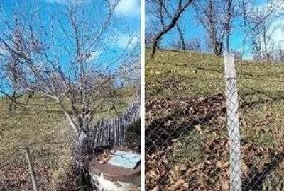 Teren cota parte 1/2, Sat Vistieru, ID: R2809860 - 1