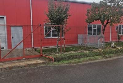 Hala 437 mp Domnesti - Pasaj - 3