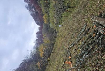 Vand casa si teren - 5