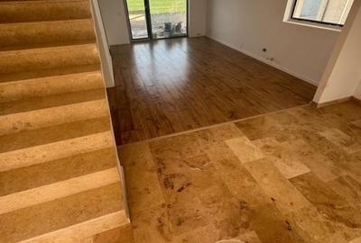 Tunari-Alcedo-Balta Pasarea Vila P+1 tip duplex, 4 camere, 3 bai - 10