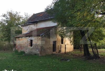 Teren de 25383 mp, în Belinț - 1