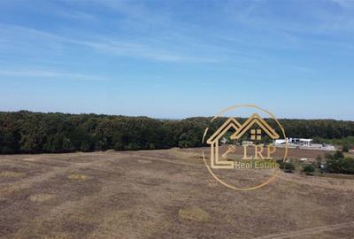 Pipera-Oxford-Padurea Baneasa, intravilan 3700mp Pipera-Oxford-Padurea Baneasa, intravilan 3700mp - 3