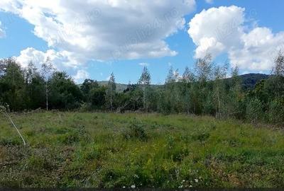 Teren cabana de vacanta Comision 0% - 3