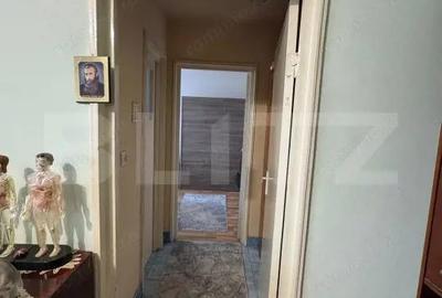 Apartament cu 2 camere semidecomandat în Gojdu - 3