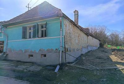 Casă cu Teren 1565 Mp în Sângătin - 10