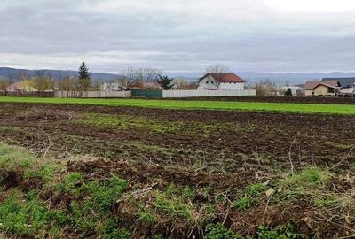 Teren de 3500 mp, în Central - 4