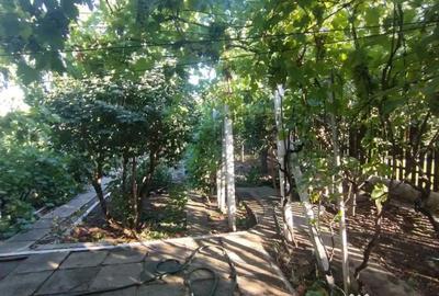 Casă cu 2 camere cu Teren 770 Mp în Palazu Mare - 8