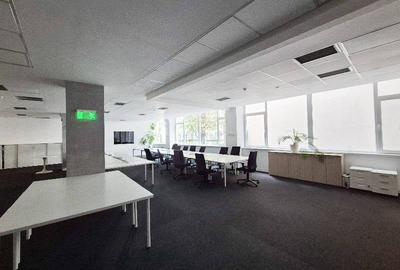 Central Business Park Subinchiriere, Marasesti, 700 - 1750 mp  0% comision! - 5