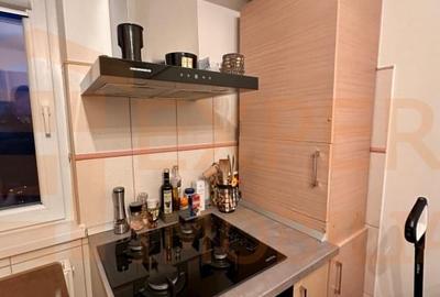 Apartament cu 2 camere decomandat, mobilat în Delfinariu - 9
