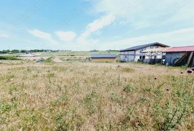 Teren de 873 mp, în Vânători - 6