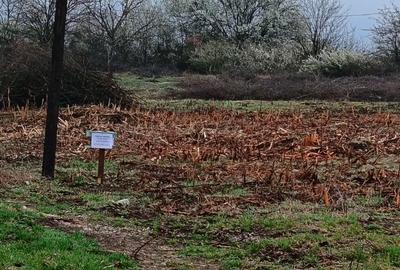 Spațiu comercial, în Central - 1