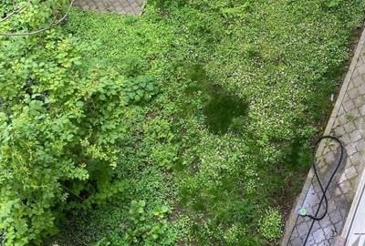 Casa in Cartierul Armenesc - curte individuala Casa in Cartierul Armenesc - curte individuala - 14