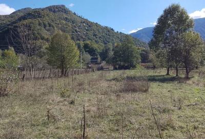 Spațiu comercial, în Central - 3