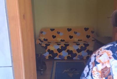 Casă individuală cu 4 camere cu Teren 816 Mp în Bariera Vâlcii - 14